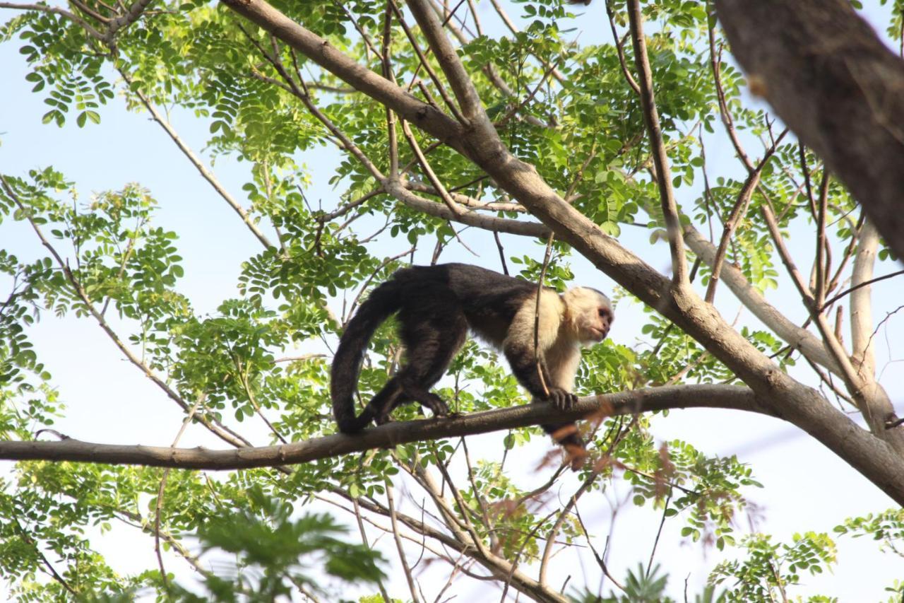 San Simian Lodge 라 라구나 외부 사진